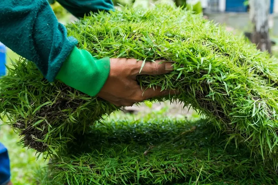 How Synthetic Grass Installation Adds Value To Your Property in Carson City, NV How Synthetic Grass Installation Adds Value To Your Property in Carson City, NV