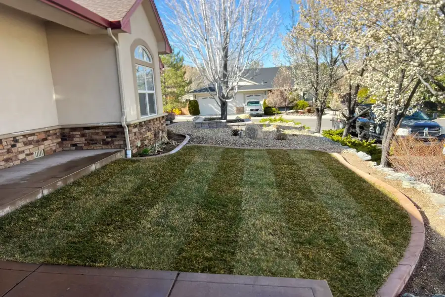 JP Lawn and Landscape LLC's Other Services