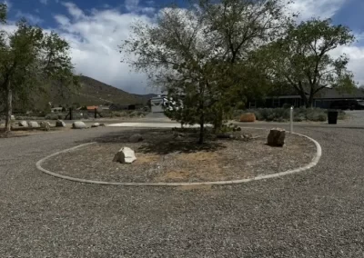 Reputed Landscaping Services