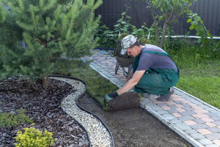 Signs You Need Professional Landscape Installation Help in Carson City, NV Signs You Need Professional Landscape Installation Help in Carson City, NV